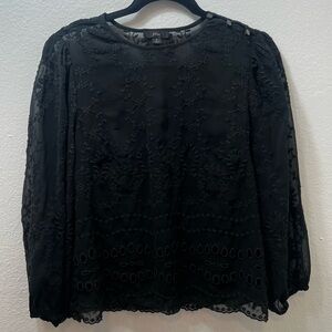 J Crew Blouse S Embroidered Balloon Sleeve Peasant Fairy Dark Boho Sheer Cottage